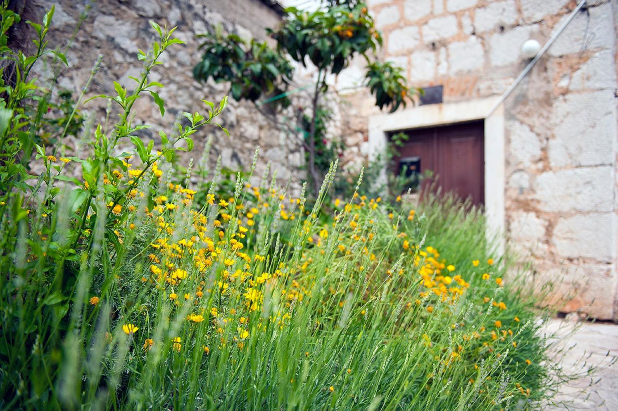 Dalmatian Garden - Free Parking - City Centre Šibenik Екстериор снимка