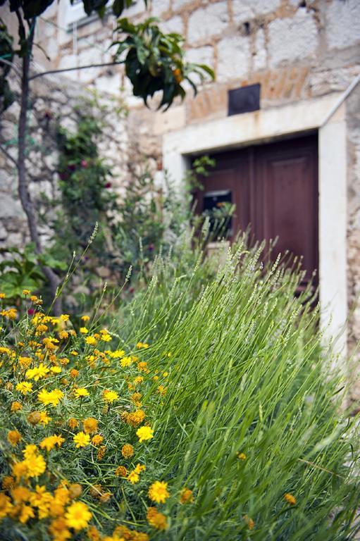 Dalmatian Garden - Free Parking - City Centre Šibenik Стая снимка